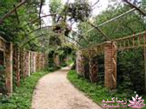 كافه گفت وگو ...